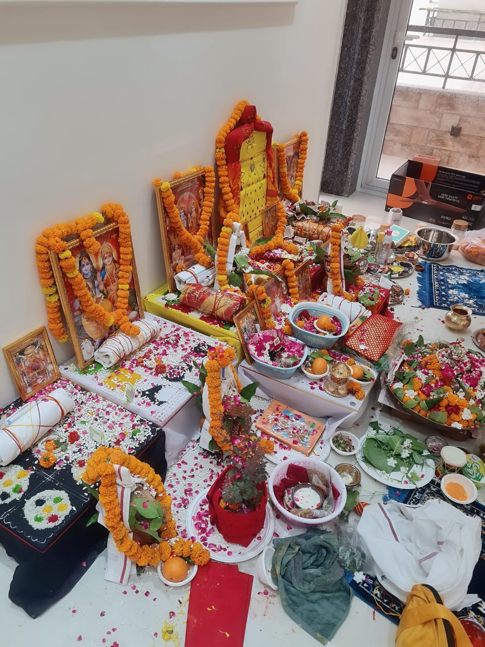 संस्थान गतिविधि